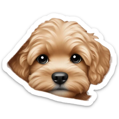 Blonde cavapoo puppy snuggled up in a auburn fluffy blanket  sticker