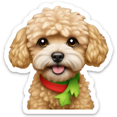 Apricot maltipoo wearing a grinch costume sticker