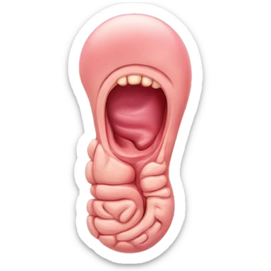 “A detailed illustration of a human stomach, with its curved shape, inner lining, and digestive features, showing subtle shading and a natural pinkish hue.” sticker