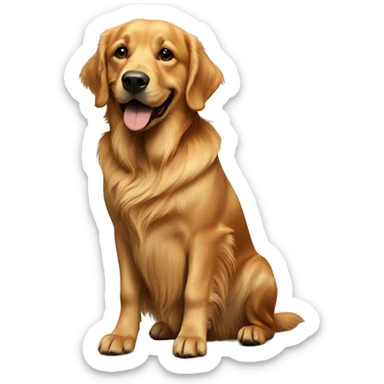 Golden retriever sitting next to black weiner dog sticker