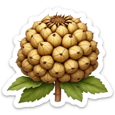  Jerusalem artichoke sticker