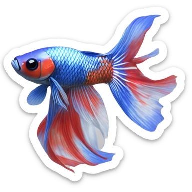 A Koi Betta with a marbled pattern of red, white, and metallic blue. Its long, flowing fins mirror the vibrant body, with a shimmering blue iridescence sticker