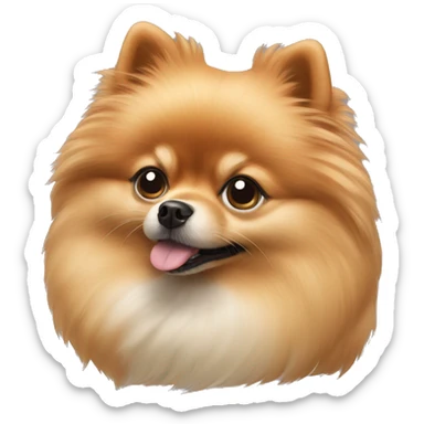Pomeranian  sticker