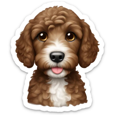 Brown Labradoodle puppy with white patch on tummy sticker