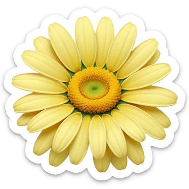 pastel yellow daisy sticker
