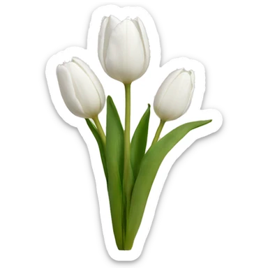 White tulips  sticker