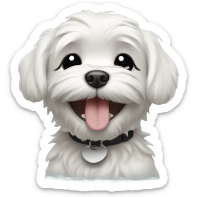Black Maltese puppy completely black eyes closed laughing happy big smile  sticker
