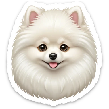 White pomeranian  sticker