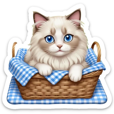 Ragdoll cat on a picnic  sticker