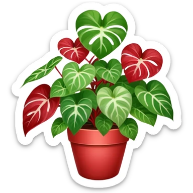 red Variegated pothos sticker