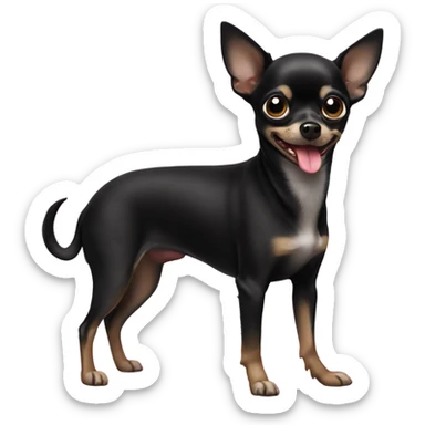 black chihuahua with tongue out sticker
