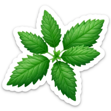 Peppermint (Mentha \(\times \) piperita)  sticker