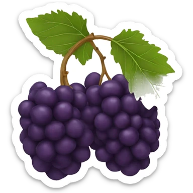 mulberry fruit sticker