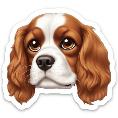 Cavalier King Charles marron avec une tache blanche sur la tête et le buste sticker