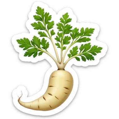 one parsnip root without green leafs sticker