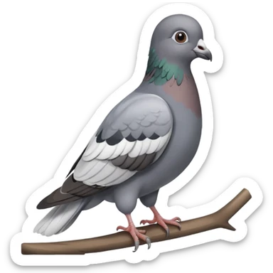 Pigeon sticker