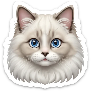 cinematic-adorable-big-eyed-fluffy-ragdoll-cat-portrait-emoji,-head-tilted-playfully-with-a-sweet-expression,-fluffy-white and grey-fur,-simplified-yet-irresistibly-cute-features-with-large,-expression, blue eyed ragdoll cat sticker