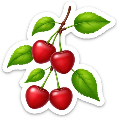 Sour cherries sticker