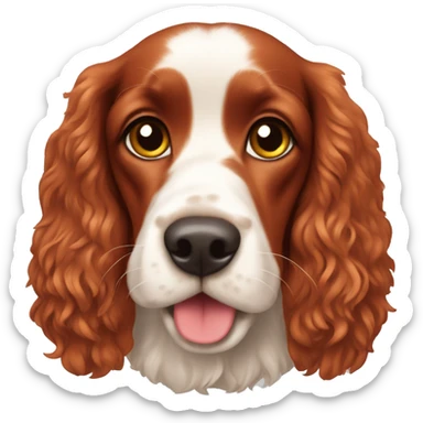 red cocker-spaniel  sticker