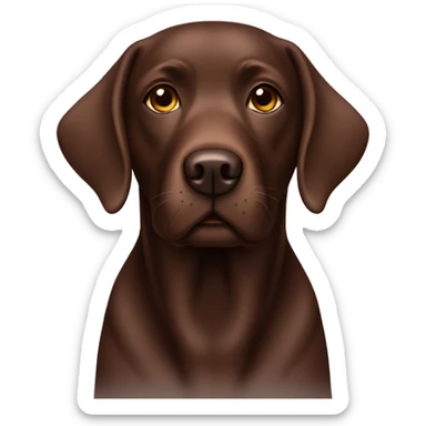 Chocolate Labrador  sticker