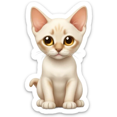 Flame point Siamese kitten sticker