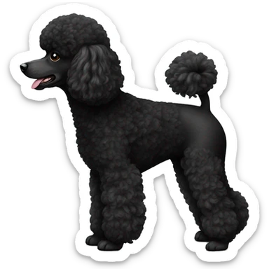 A black miniature poodle  sticker