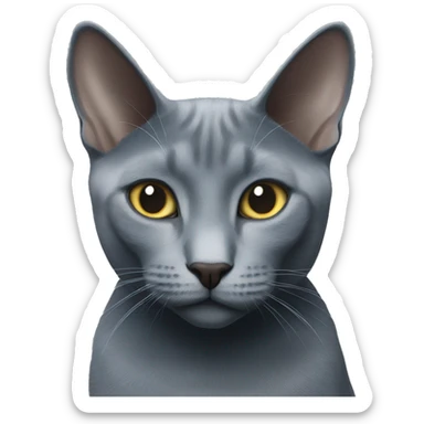 two Russian blue cats sticker