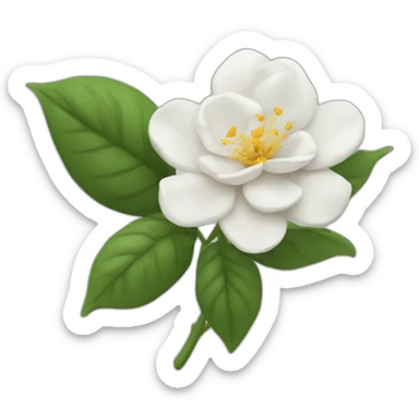Flor Rosa blanca sticker