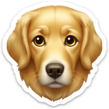 Golden retriver com óculo escuros sticker