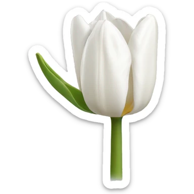 white tulip sticker