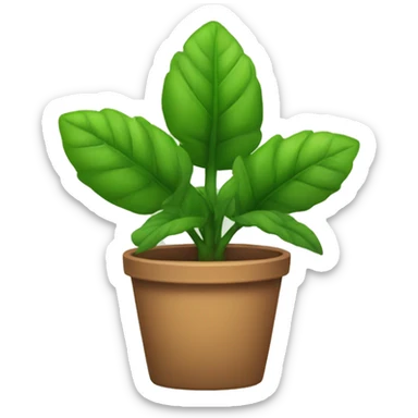 moriviví plant sticker