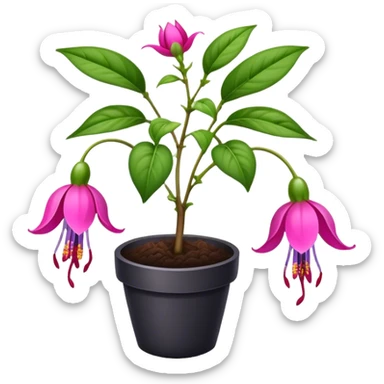 Earth fuchsia sticker