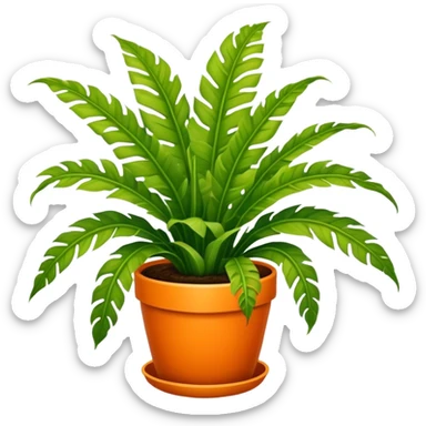 Bird's-nest fern plant in round orange pot sticker