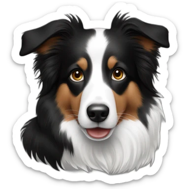 shelti border collie black white color sticker