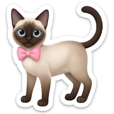 A very cute Siamese cat wearing a light pink bow. sticker