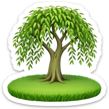 A 3D cartoon willow tree with drooping green branches over soft grass, natural sunlight, Memoji-style rendering. sticker
