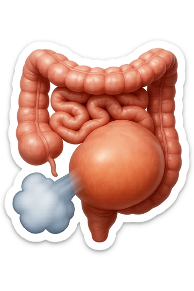 emoji stile iphone di un intestino che ingoia una nuvoletta di aria ben visibile e gli si gonfia la pancia, non fargli il naso, iperrealistico 4k sticker