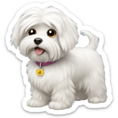 fluffy Maltese dog sticker