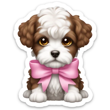 Brown and white Schichon puppy with pink bow sticker