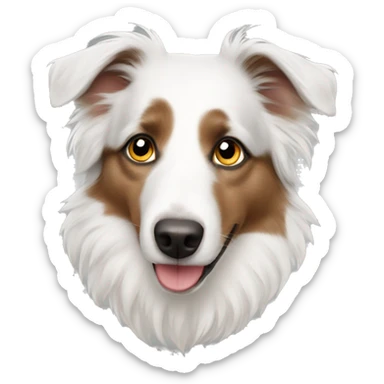 White australian shepherd  sticker