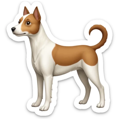 a full body white parson russell looking dog the size of a kelpie with light brown ears and a light brown patch on one eye and a large snout sticker