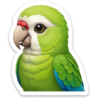 Green and white Monk parakeet sticker