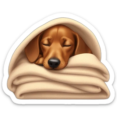 Teckel dog sleeping in a blankey sticker