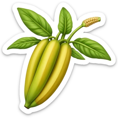 platano verde sticker