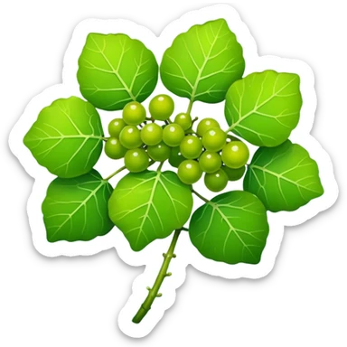 sea grape which is green looking like a grape. but way more tiny ones sticker