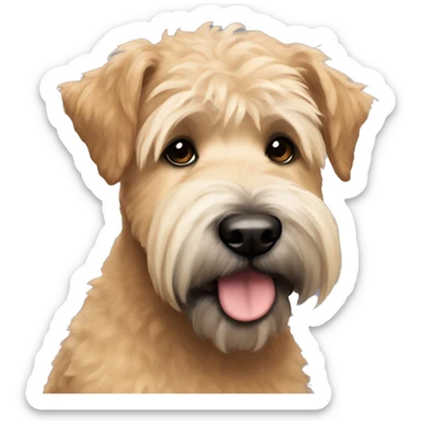 Wheaten terrier with a fluffy puppy haircut and black ears and chin sticker