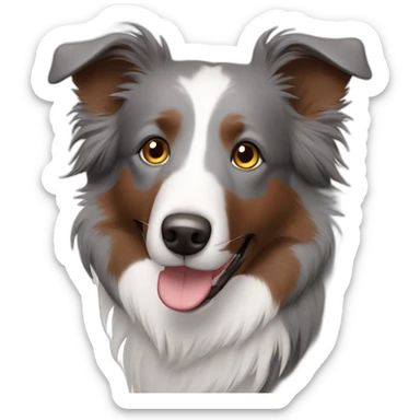 gray colour hair Border collie with Brown eyes sticker