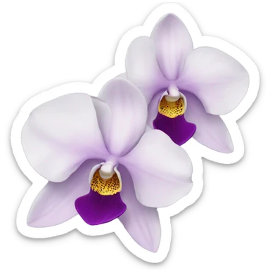Orchid sticker