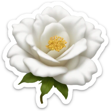 Flor Rosa blanca sticker