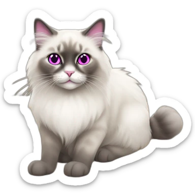Ragdoll cat with magenta eyes and grey furr, smiling, sitting on the floor sticker